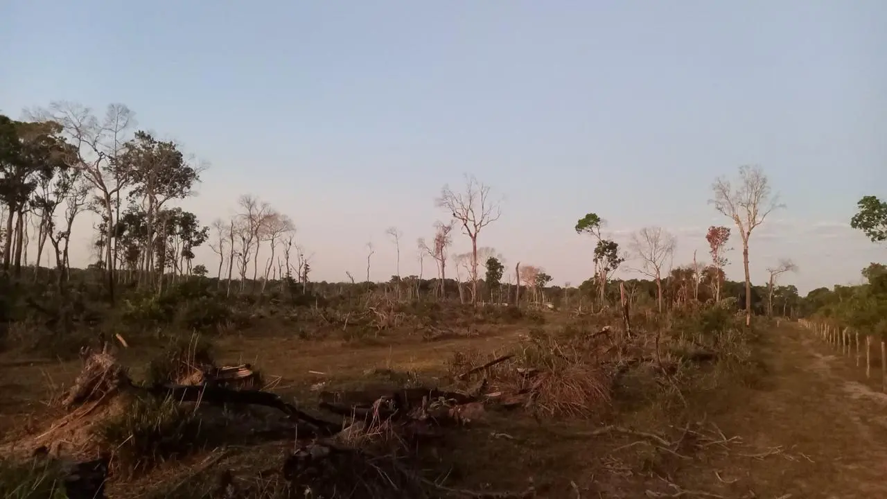 Foto 7