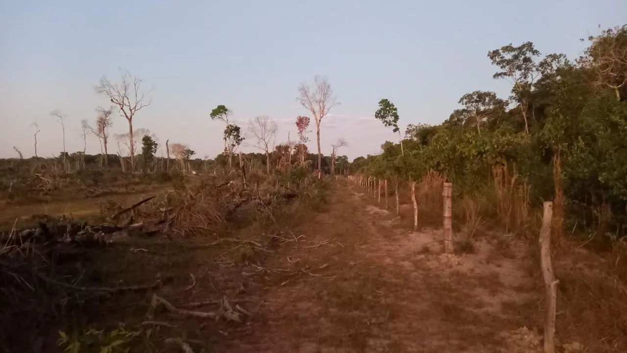Foto 8
