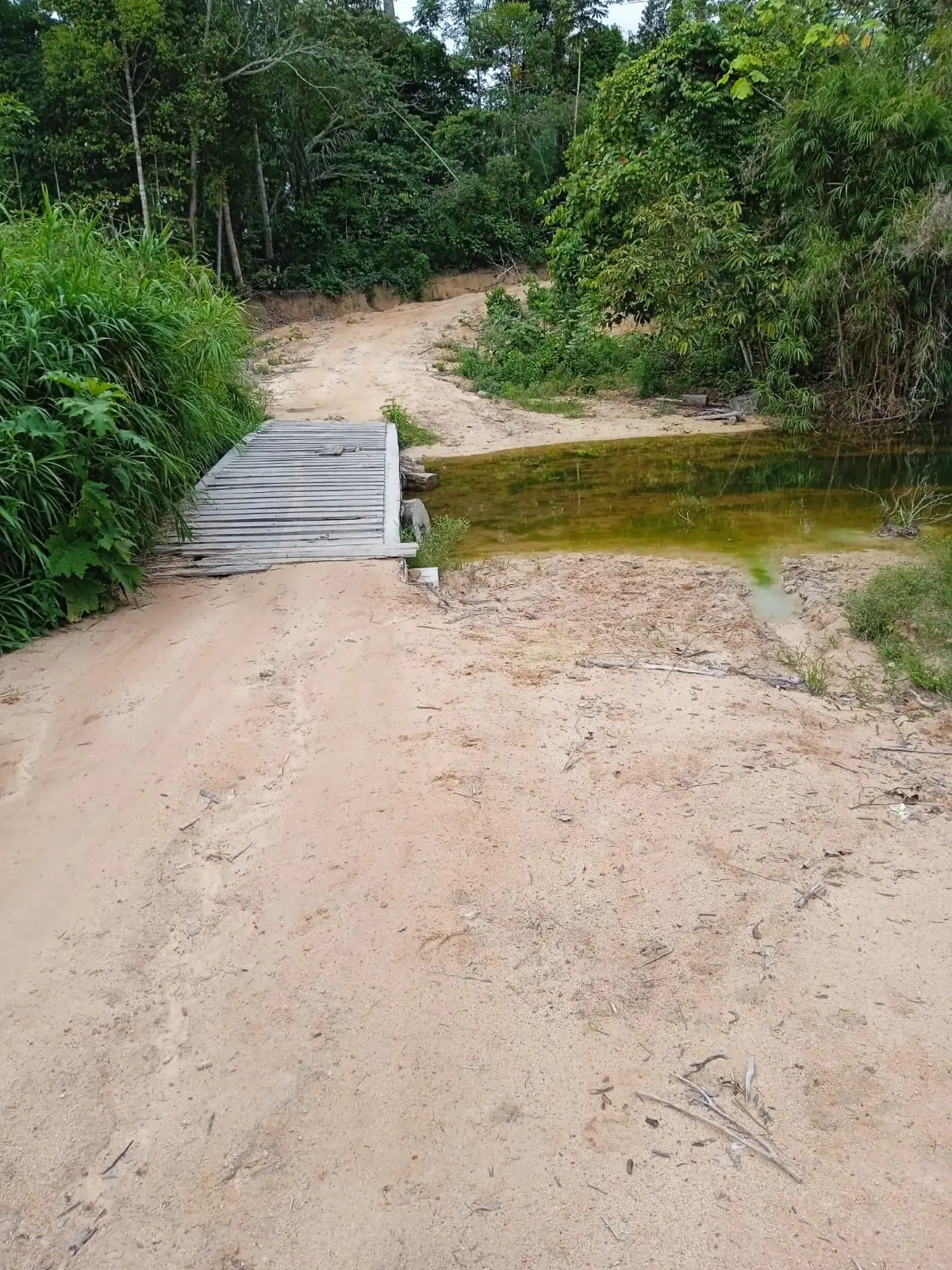 Foto 4