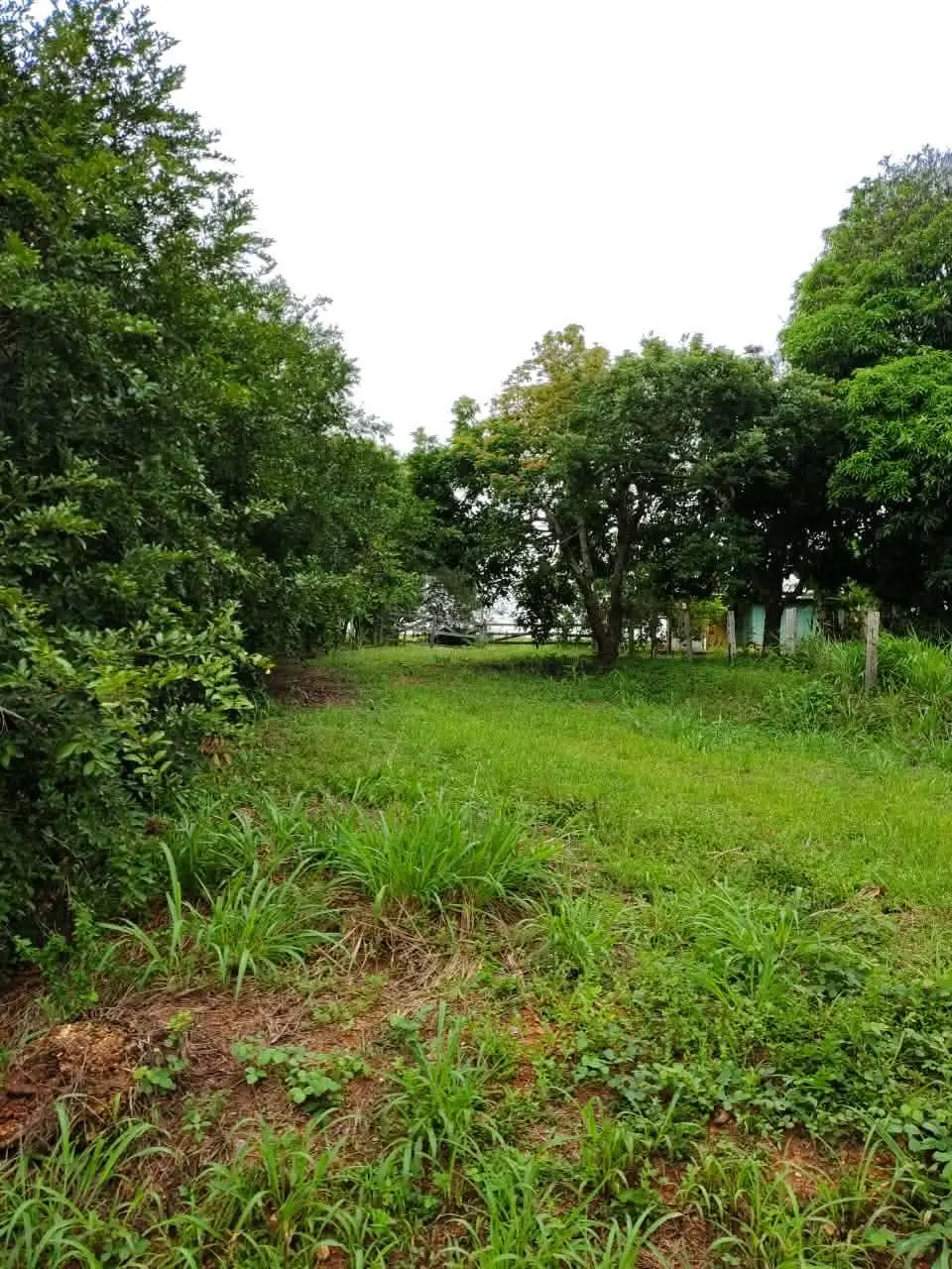 Foto 10