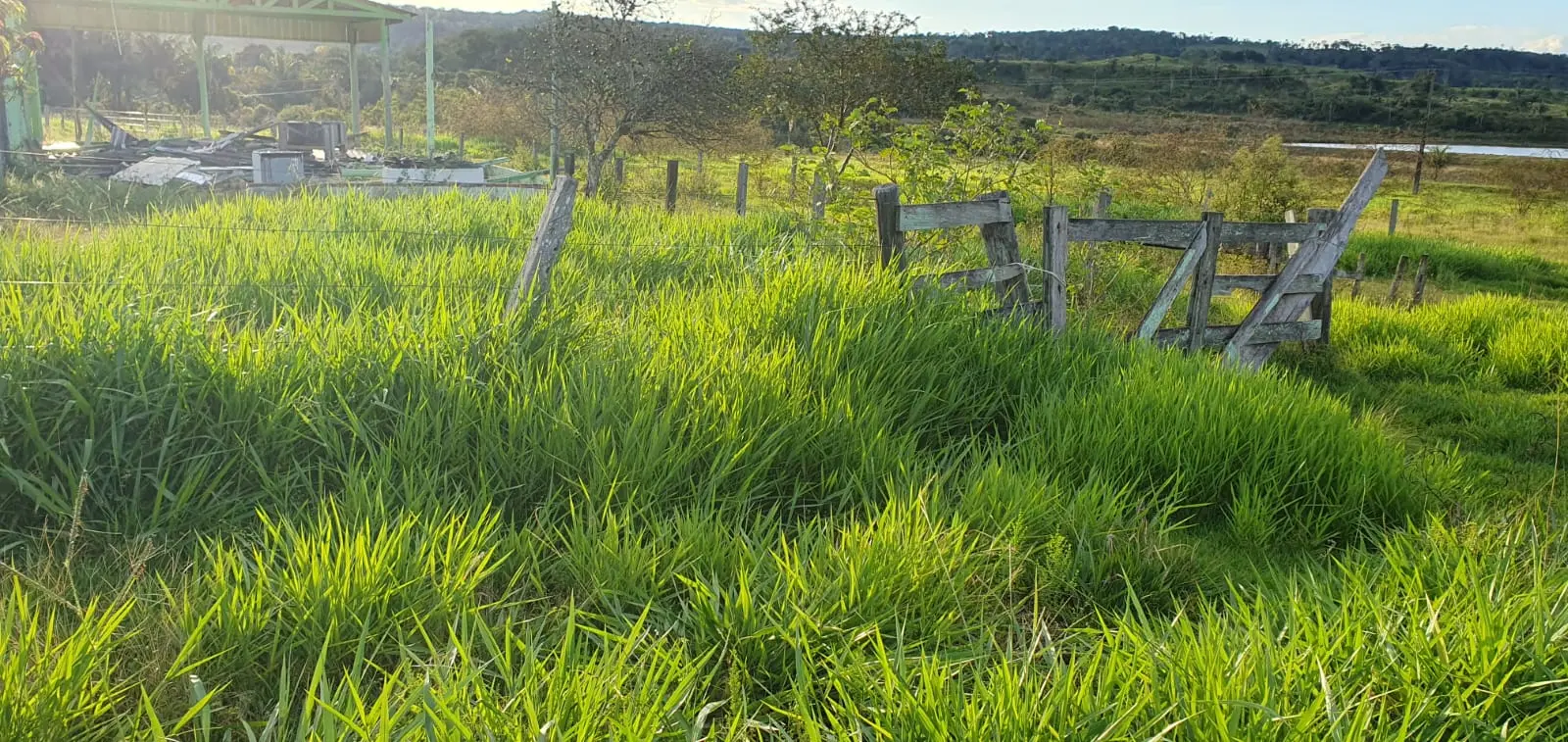 Foto 5